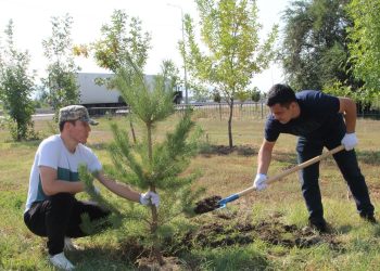 Жетісу облысында «Таза Қазақстан» жалғасуда