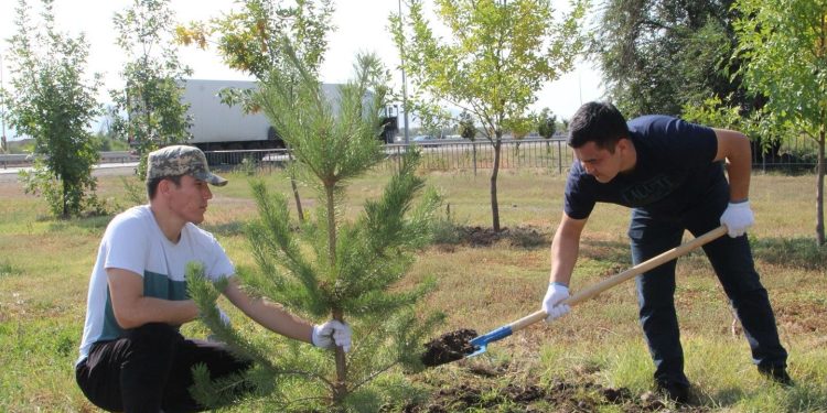Жетісу облысында «Таза Қазақстан» жалғасуда