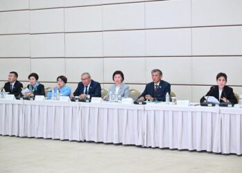 Сенаторлар Президент тапсырмасын іске асыру мәселесін талқылады