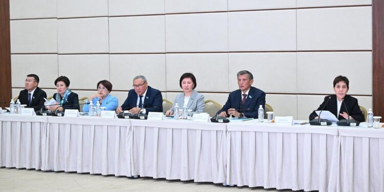 Сенаторлар Президент тапсырмасын іске асыру мәселесін талқылады