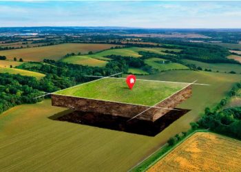 36 гектарға жуық жер мәжбүрлі түрде қайтарылды