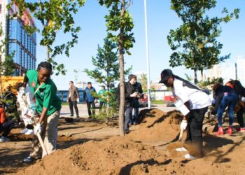 «Таза Қазақстан»: 5-ші Дүниежүзілік көшпенділер ойындарының қатысушылары Астанада ағаш отырғызды