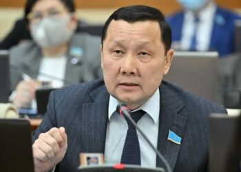 Мәжіліс депутаты киік мүйізіне қатысты сотталғандардың мәселесін көтерді