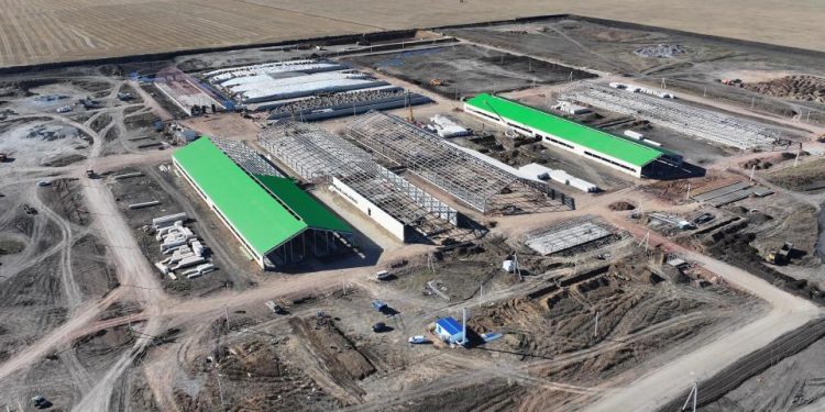 Сүт өндірісіне заманауи технологияларды енгізуге ықпал етеді