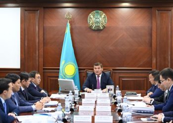 АРАЛ ТЕҢІЗІНІҢ ҚҰРҒАҒАН ҰЛТАНЫНА СЕКСЕУІЛ ЕГУ ЖАЛҒАСУДА