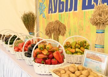 ҚЫЗЫЛОРДАДА  «АЛТЫН КҮЗ-2024» ЖӘРМЕҢКЕСІ ӨТТІ