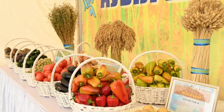 ҚЫЗЫЛОРДАДА «АЛТЫН КҮЗ-2024» ЖӘРМЕҢКЕСІ ӨТТІ