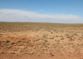 Атырау қаласында 26 субъектіге жерді заңсыз иеленгені үшін айыппұл салынды