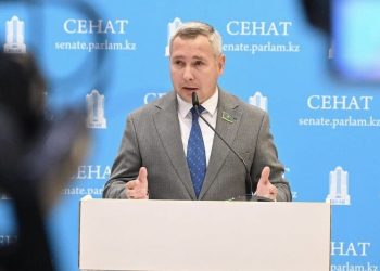 «Адамға қауіп төндіреді». Сенатор TikTok-ты бұғаттауды ұсынды