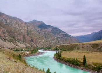 Жетісу облысында 221 гектар жер мемлекет қорына қайтарылды