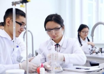 АЙМАҚТА ИННОВАЦИЯЛЫҚ ЖОБАЛАРҒА БАСЫМДЫҚ БЕРІЛЕДІ