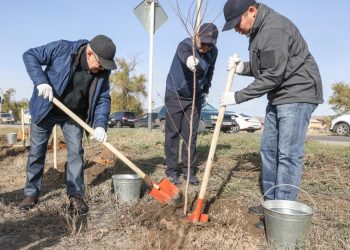 Күз мезгіліндегі сенбіліктер басталып жатыр