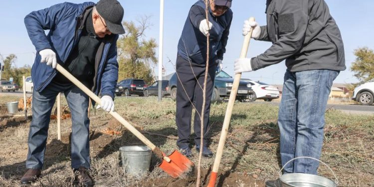 Күз мезгіліндегі сенбіліктер басталып жатыр