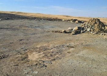 Мемлекеттік жерлердің өз бетінше иеленуі анықталды