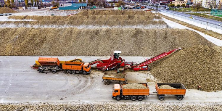 Күнделікті 5 мың тонна қант қызылшасын қабылдауда