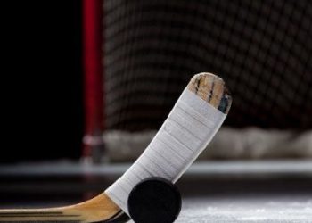 Шайбалы хоккей бойынша мемлекеттік сатып алулар жойылды