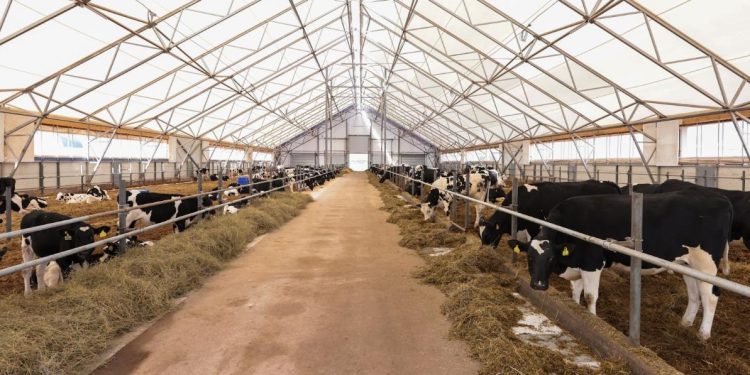 Еліміздің ауыл шаруашылығында мал басы мен құс саны артты