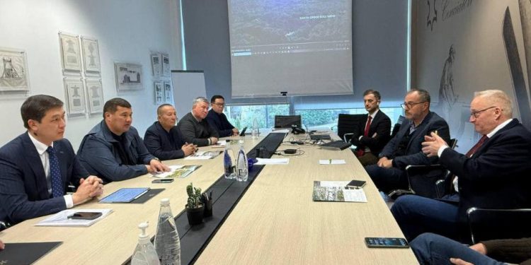 Тері және жүн өңдейтін кәсіпорындарды дамыту керек