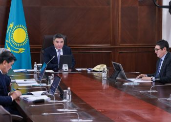 Бұл – тек экологиялық тұрақтылық мәселесі емес, сонымен бірге, ұзақмерзімді экономикалық даму мәселесі