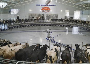 Орталық Азияда да баламасы жоқ сауу цехы ашылды