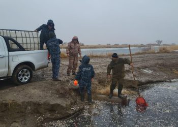 Бақсай су арнасында 180 мың дана балық шабағы құтқарылды