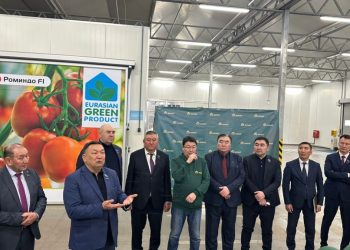 Депутаттар Алматы облысындағы жылыжайды аралады