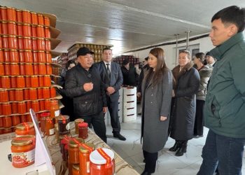 Өңір «Ауыл аманаты» жобаларының саны бойынша алдыңғы қатарда