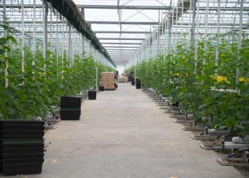 Мемлекеттік қолдау шараларын пайдалану нәтижелерімен танысты