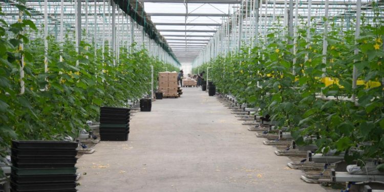 Мемлекеттік қолдау шараларын пайдалану нәтижелерімен танысты