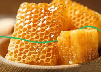 Қазақстан Еуропалық Одаққа бал экспорттауға рұқсат алды