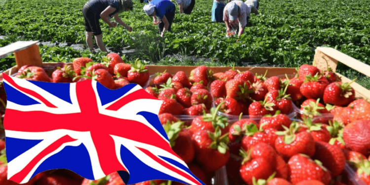 Таразда жұмыспен қамту орталығының қызметкерлері сотталды