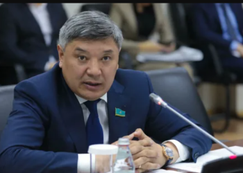 TikTok-қа шектеу қою мәселесін қарастырғанымыз жөн