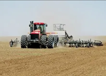 Премьер-министр көктемгі егіс жұмыстарын уақтылы жүргізуді ерекше бақылауда ұстауды тапсырды