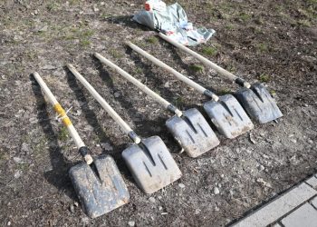 Алматыда «Таза Қазақстан» бағдарламасы аясында үшінші тазалық апталығы өтеді