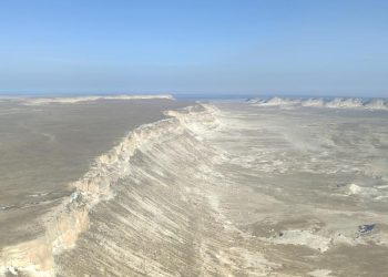 Каспий итбалықтарының жатақтары орналасқан аралдарға әуе шолу жасады