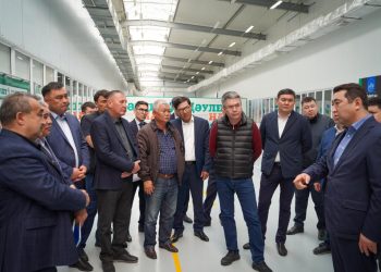 Облыстың агроөнеркәсіптік кешенін табысты дамытуға толық әлеуеті бар