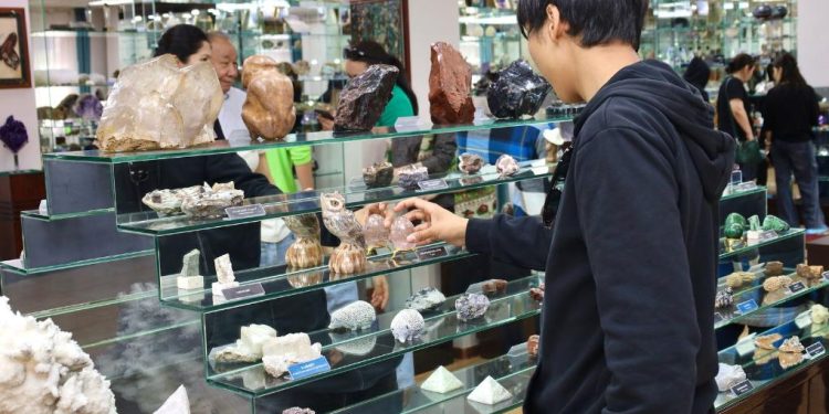 Мұражай коллекциясында мыңнан астам экспонат бар