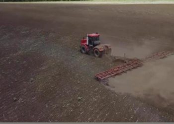 Ауыл шаруашылығы – аудан экономикасының негізгі бағыттарының бірі