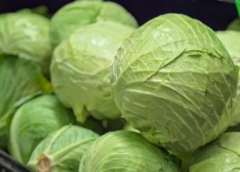 Көкөністерге маусым айының соңына дейін «жасыл дәліз» енгізу туралы шешім қабылданды