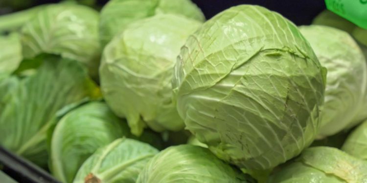 Көкөністерге маусым айының соңына дейін «жасыл дәліз» енгізу туралы шешім қабылданды