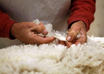 Тері мен жүнді өңдеу және экспорттау деңгейі әлі де төмен деңгейде қалып отыр