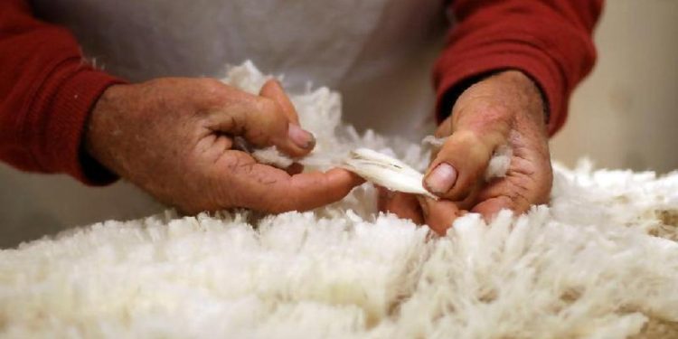 Тері мен жүнді өңдеу және экспорттау деңгейі әлі де төмен деңгейде қалып отыр