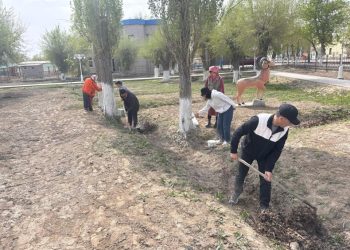 Сыр елінде сенбілік жалғасуда