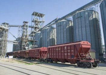 Жаңа өнімнің астық экспорты 7 млн тонна болды