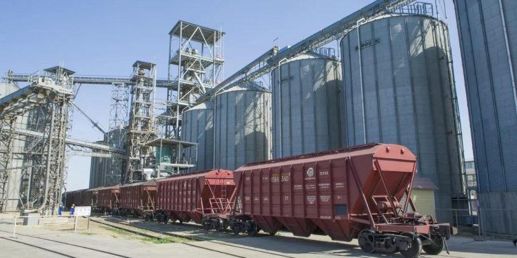 Жаңа өнімнің астық экспорты 7 млн тонна болды