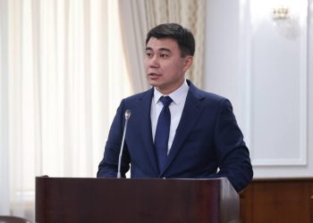 Жобаның мәні елді мекендердің аумағын айналып өту кезінде компьютерлік көруді қолдану болып саналады