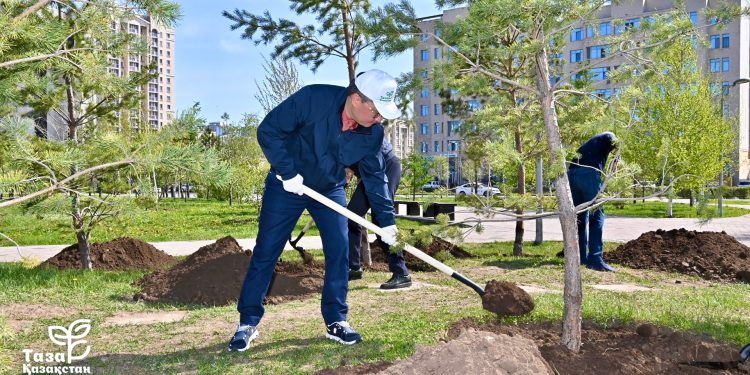 «Таза Қазақстан» экологиялық бастамасы аясында сенбілікке қатысты