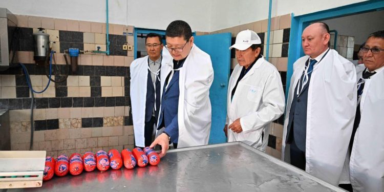 Шикізатты қайта өңдеу – ауыл шаруашылығының келешегі