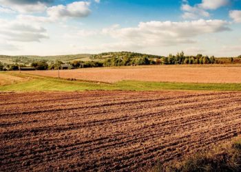 Шамамен 1200 гектар ауыл шаруашылығы жері мемлекеттік меншікке қайтарылды