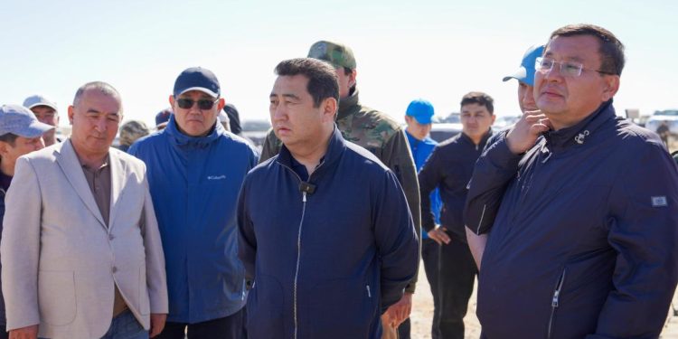 Барлық өңдеу жұмыстары уақытында және сапалы жүргізілуі тиіс